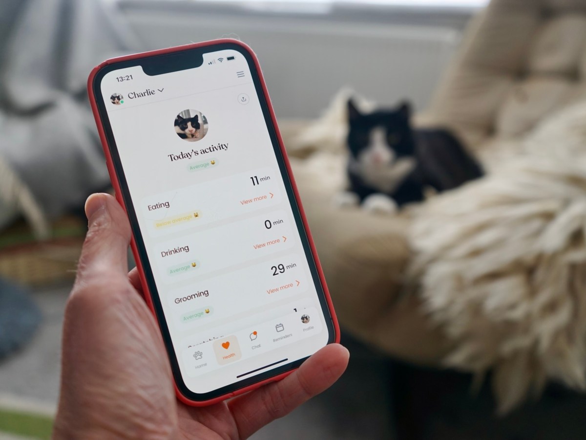Moggie – een kattenactiviteitstracker zoals een Fitbit
