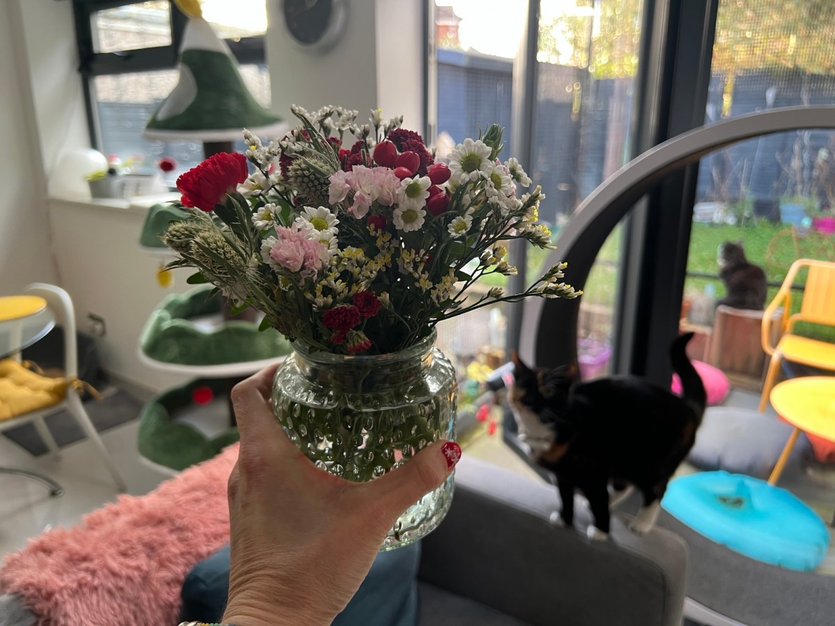 Ik voel me niet goed